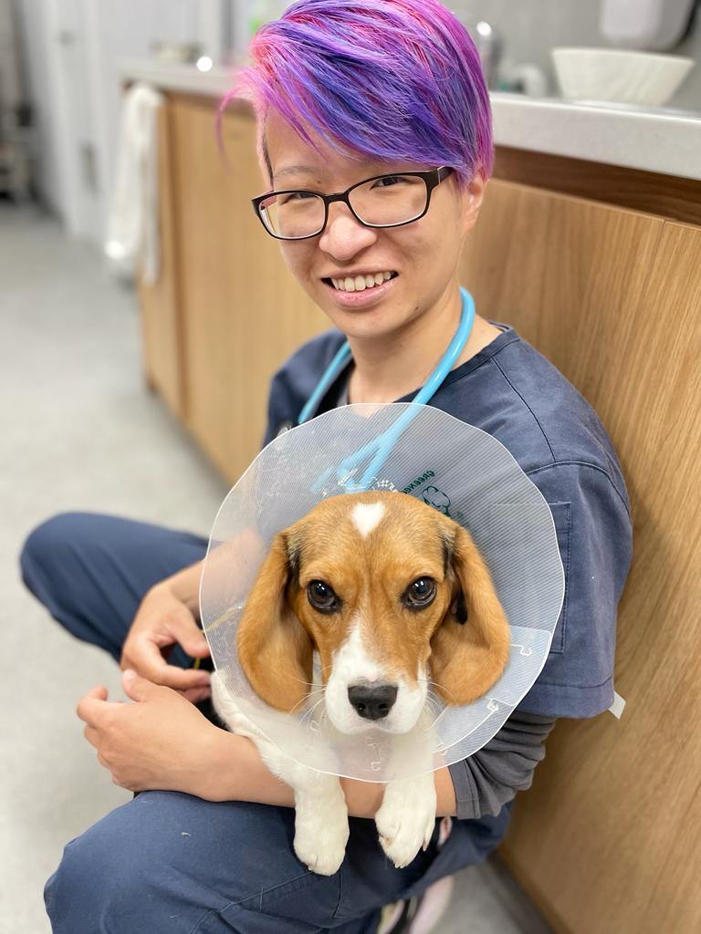 Dr.Ann Lim